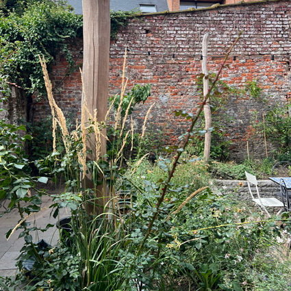 Tuin bij Food with Varinder, foto 3