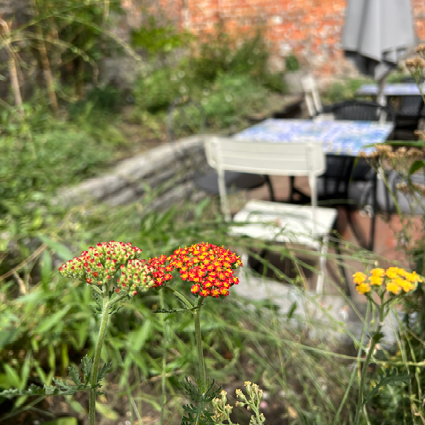 Tuin bij Food with Varinder, foto 5