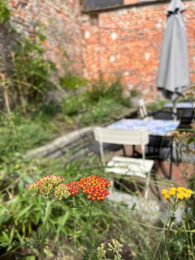 Bloeiende tuin bij Food with Varinder